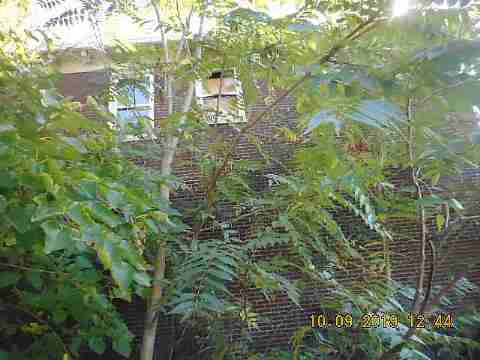 2144 Dickerson (10)_m.jpg